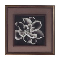 �����, L44 W2,5 H44 ��