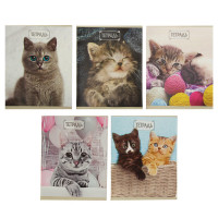  48    Calligrata  ,  , 