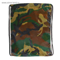    420  340 , Calligrata "", ( ,  210 D),  