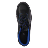    Prosafe Basic 12,  ,  43