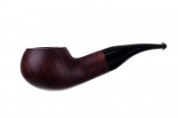  Sir Del Nobile Serena,  3