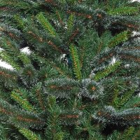 ���� ������������� ������ ����, 180 ��, 553 �.