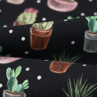    Succulents 146180 , 100% ,  190 /2