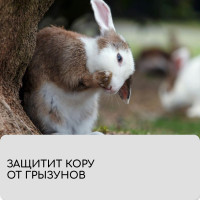  , 10 0.08 ,  60 / ,   -, , Greengo,  20%
