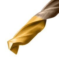    , 1-10 , 658-tin, Golden Tip, 10  Denzel