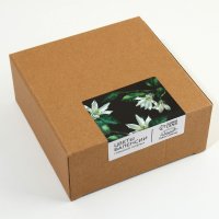    Lemon Flowers, 14.5 , 550 ,  