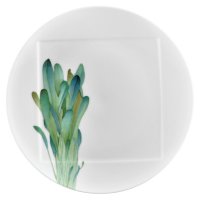   Noritake    27