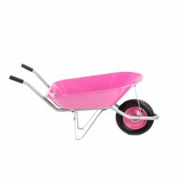   Pink Line, ,  78  Palisad