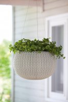  Keter Cozies-m ,  