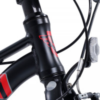  20 Maxiscoo 7bike M200,  