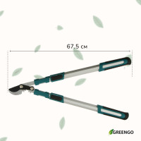  , 26.4 37 (67.5 94 ), ,   , , Greengo