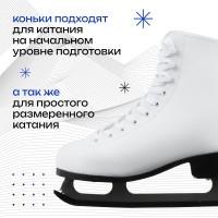   Winter Star Basic, . 41
