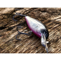   Lj Original Shad=xdr F, 8 ,  003