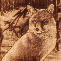 ����� �� ������� ����� �����, �������, �������������, 23 X 35 �� �35