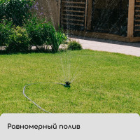 -, 12 ,  , , , Greengo