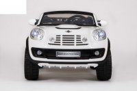 Mini Beachcomber (  ) 