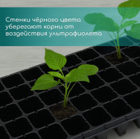   , 50   100 , , , 54 27 8 , Greengo