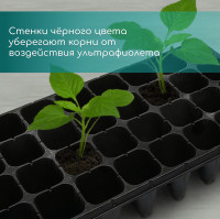 ������� ��� �������, 32 ������ �� 150 ��, �������, ������, 51 28 10 ��, Greengo