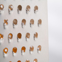 Ҹ , 4 , -     11x8,5x22 ,  