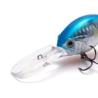 ������ Namazu Hippocampus L-60 ��, 18 �, �����, ���������, 2.5 - 4.5 �, ���� �11