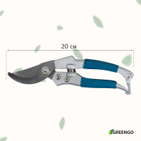  , 8 (20 ), C  , Greengo