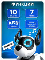   Koddy Iq Bot,   , : , , , ,  