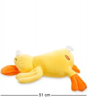 Pt- 31 ������