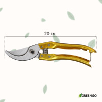  , 8 (20 ),   ,   , Greengo