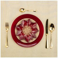  Poinsettia Red Gold 21  
