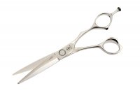    Stellite Alloy 360 (6.0)