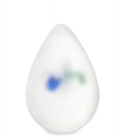 Gr-75/ 4 �����-�����