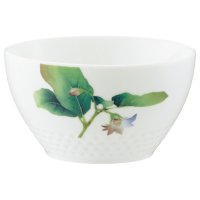   Noritake    11
