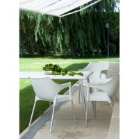  Bellarden New Dessa,  