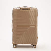   100  (l),   ,  , 4 ,  