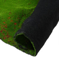  , ,  1   1 , , , Greengo