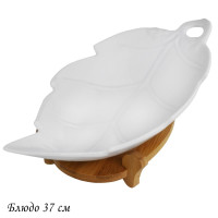 ����� 37�� �� ��������� Bamboo � ���.��. ������