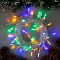   10    , Ip20,  , 100 Led,  , 8 , 220 