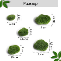  ,  ,  ,  5 ., , Greengo