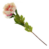   , D25 , L24 W24 H117 