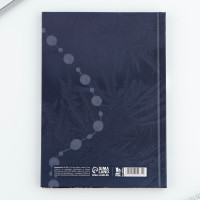 ���������� �5, 80 ������, ��������������, � ������� ������� �� ����� �����