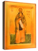 ������� ������������������� (����������) (���������� �����)