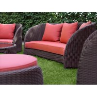   Bellarden Tulipe,  