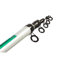     Salmo Blaster Ultima Telerod,  5-20 .,  4 .