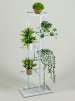 ��������� ��� ������ Greengo, 6 �����, 44 22 105 ��, ���������, ������, �����