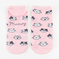 ����� ���������� ������ �������� �������, ��������� � ����������