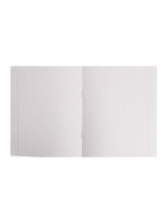 , 48   , Calligrata , 