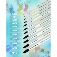   ,    6 (  6 ;   22 ),  , Calligrata