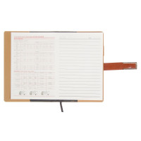   Calligrata, 5,  ,  , 100 ,  , 