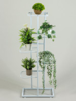 ��������� ��� ������ Greengo, 6 �����, 44 22 105 ��, ���������, ������, �����