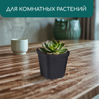   , 200 , 6.5 6.5 7 , , , Greengo